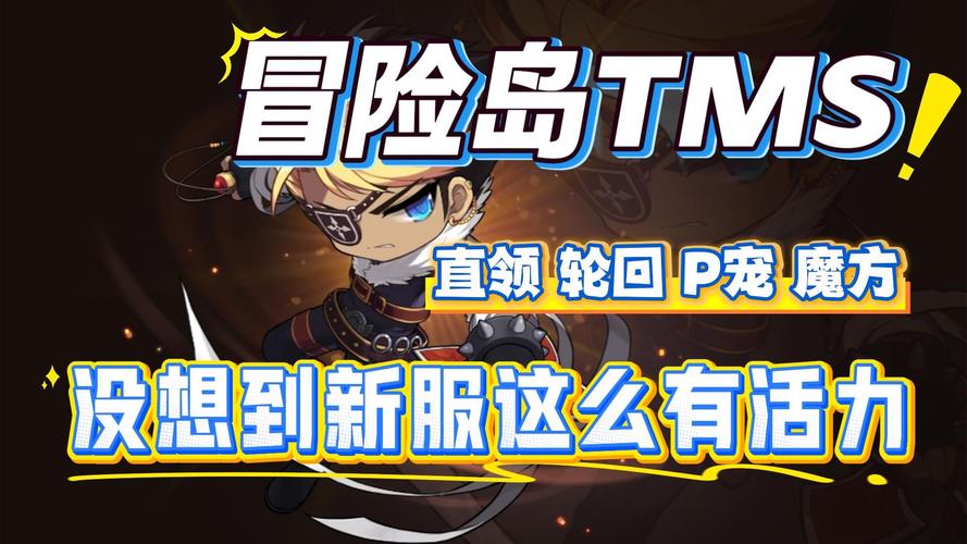 冒险岛私服萌新指南!副本组队全攻略